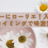 カレーにローリエ！入れるタイミングで味激変