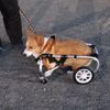 四輪の車いす