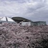 阪神競馬場