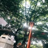 夏の神社でエネルギーと夏休みを感じる✨