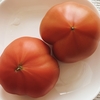 トマト🍅