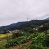 秦野　転　天気　　　　　　最高気温27度　雨☂