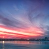 docker compose logs -fの内容をシェルスクリプトの処理で判定に使いたかったのだが...