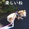 秋の夜長だけど、だよ