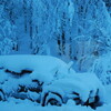  「どか雪」のち「暴風」