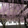 大型連休