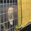 ウォーキングしかすることがない