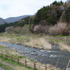 とてもハードな一日　渓流釣りと車検