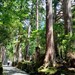 霊場高野山に行ってきました