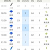 6/09 木曜日朝から降り出した雨。　雨も月も　十日余りかな