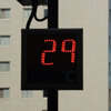 高崎駅前散歩　今朝は２９℃・タチアオイ・ムクゲ・今朝の空