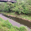 4月28日(月)秩父フライフィールドの河川情報