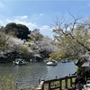 ブログ4か月ほど休んで、近況など。