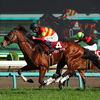 日曜競馬　展望