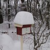 今年の2月はどうなるか？昨年の豪雪を振り返る