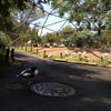 １カ月間毎日、多摩動物公園に行ってみた。4日目