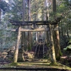 新年