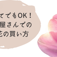 ほんの少しだけ暮らしを豊かに 花のある生活の始め方 ひとりでハナログ ほんの少しだけ暮らしを豊かに 花のある生活の始め方 ひとりでハナログ
