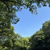 執着を手放すためには、他の選択肢があることを認めることがまず一歩目。