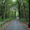 週末風景・相模原&麻溝公園。