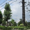 いずみ児童遊園（東京都狛江市）