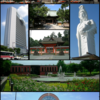 日本三大植木の産地って何？