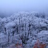 石鎚は雪だということです