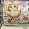 【ガチャ活】【まんまるねこマスコット～人気ねこちゃん大集合！～タカラトミー】人気ねこの中に、何故クロネコが居ない？