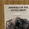 ANIMALS  IN  THE  LITTLE  BUSH