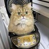 お米を買いに σ(^◇^;)