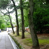 勝俣部長の「ため息」４８５４回････微妙な距離