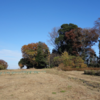 古凍古墳群・根岸稲荷神社古墳（古凍20号墳） 埼玉県東松山市古凍