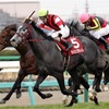 『中山記念』で的中するために中山記念競馬を知る