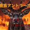 【鹿島アントラーズ】VS セレッソ大阪 過酷な戦いの中で喫した敗北【ゆるい感想】