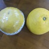文旦が店先に並んでいました！