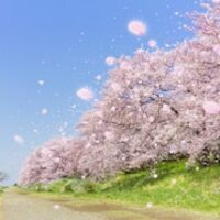 nagano_rのtest