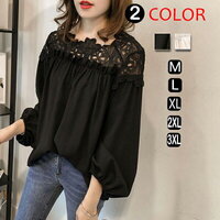 【即日発送】大人フェミニンな2colorシフォントップス