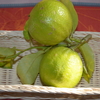 ベルガモット・Ｂｅｒｇａｍｏｔ　の小箱が仕上がりました！ 