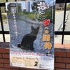 ねこ学