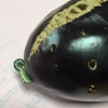 ナスに虫が