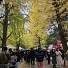 駒場祭と夜の新宿