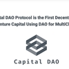 CDSトークン(Capital DAO Protocol)とは？怪しい仮想通貨の投資案件？内容を検証授業！