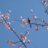 今週のお題「卒業」