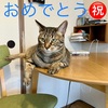 おめでとー😺