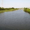 梅雨の晴れ間は忙しい