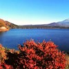 本栖湖 中ノ倉峠展望台 から見る富士山