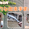 久しぶりの小ネタ集!