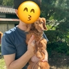 AIと相談したらしい