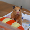 ぶちぱのメモ代わり