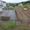 実家の畑で農作業でした